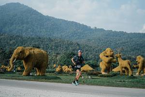 BIB: 
                            <button type="button" onclick="openModal(25870657)" class="btn btn-primary btn-sm float-right btn-popup" data-toggle="modal" data-target=".modal-high-quality">
                        <i class="fas fa-shopping-cart"></i> Add to Cart
                    </button>
                                            <button type="button" onclick="isThisMe(25870657, true)" class="btn btn-success btn-sm float-right btn-popup btn-isme hidden" data-toggle="tooltip" data-placement="bottom" title="นี่คือรูปของคุณใช่ไหม คลิกที่นี่เพื่อเอาเข้าอัลบั้ม">
                        <i class="fas fa-plus"></i> Add to album
                    </button>
                    <button type="button" onclick="isThisMe(25870657, false)" class="btn btn-warning btn-sm float-right btn-popup btn-isnotme hidden">
                        <i class="fas fa-ban"></i> Remove from album
                    </button>