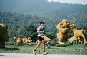 BIB: 
                            <button type="button" onclick="openModal(25916548)" class="btn btn-primary btn-sm float-right btn-popup" data-toggle="modal" data-target=".modal-high-quality">
                        <i class="fas fa-shopping-cart"></i> Add to Cart
                    </button>
                                            <button type="button" onclick="isThisMe(25916548, true)" class="btn btn-success btn-sm float-right btn-popup btn-isme hidden" data-toggle="tooltip" data-placement="bottom" title="นี่คือรูปของคุณใช่ไหม คลิกที่นี่เพื่อเอาเข้าอัลบั้ม">
                        <i class="fas fa-plus"></i> Add to album
                    </button>
                    <button type="button" onclick="isThisMe(25916548, false)" class="btn btn-warning btn-sm float-right btn-popup btn-isnotme hidden">
                        <i class="fas fa-ban"></i> Remove from album
                    </button>