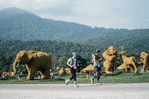 BIB: 
                            <button type="button" onclick="openModal(25874996)" class="btn btn-primary btn-sm float-right btn-popup" data-toggle="modal" data-target=".modal-high-quality">
                        <i class="fas fa-shopping-cart"></i> Add to Cart
                    </button>
                                            <button type="button" onclick="isThisMe(25874996, true)" class="btn btn-success btn-sm float-right btn-popup btn-isme hidden" data-toggle="tooltip" data-placement="bottom" title="นี่คือรูปของคุณใช่ไหม คลิกที่นี่เพื่อเอาเข้าอัลบั้ม">
                        <i class="fas fa-plus"></i> Add to album
                    </button>
                    <button type="button" onclick="isThisMe(25874996, false)" class="btn btn-warning btn-sm float-right btn-popup btn-isnotme hidden">
                        <i class="fas fa-ban"></i> Remove from album
                    </button>