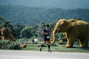 BIB: 
                            <button type="button" onclick="openModal(25963593)" class="btn btn-primary btn-sm float-right btn-popup" data-toggle="modal" data-target=".modal-high-quality">
                        <i class="fas fa-shopping-cart"></i> Add to Cart
                    </button>
                                            <button type="button" onclick="isThisMe(25963593, true)" class="btn btn-success btn-sm float-right btn-popup btn-isme hidden" data-toggle="tooltip" data-placement="bottom" title="นี่คือรูปของคุณใช่ไหม คลิกที่นี่เพื่อเอาเข้าอัลบั้ม">
                        <i class="fas fa-plus"></i> Add to album
                    </button>
                    <button type="button" onclick="isThisMe(25963593, false)" class="btn btn-warning btn-sm float-right btn-popup btn-isnotme hidden">
                        <i class="fas fa-ban"></i> Remove from album
                    </button>