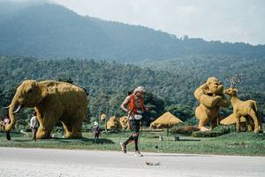 BIB: 
                            <button type="button" onclick="openModal(25914531)" class="btn btn-primary btn-sm float-right btn-popup" data-toggle="modal" data-target=".modal-high-quality">
                        <i class="fas fa-shopping-cart"></i> Add to Cart
                    </button>
                                            <button type="button" onclick="isThisMe(25914531, true)" class="btn btn-success btn-sm float-right btn-popup btn-isme hidden" data-toggle="tooltip" data-placement="bottom" title="นี่คือรูปของคุณใช่ไหม คลิกที่นี่เพื่อเอาเข้าอัลบั้ม">
                        <i class="fas fa-plus"></i> Add to album
                    </button>
                    <button type="button" onclick="isThisMe(25914531, false)" class="btn btn-warning btn-sm float-right btn-popup btn-isnotme hidden">
                        <i class="fas fa-ban"></i> Remove from album
                    </button>