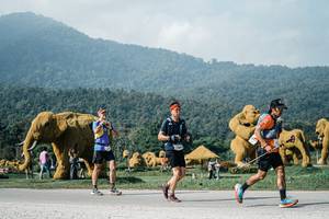 BIB: 
                            <button type="button" onclick="openModal(25882996)" class="btn btn-primary btn-sm float-right btn-popup" data-toggle="modal" data-target=".modal-high-quality">
                        <i class="fas fa-shopping-cart"></i> Add to Cart
                    </button>
                                            <button type="button" onclick="isThisMe(25882996, true)" class="btn btn-success btn-sm float-right btn-popup btn-isme hidden" data-toggle="tooltip" data-placement="bottom" title="นี่คือรูปของคุณใช่ไหม คลิกที่นี่เพื่อเอาเข้าอัลบั้ม">
                        <i class="fas fa-plus"></i> Add to album
                    </button>
                    <button type="button" onclick="isThisMe(25882996, false)" class="btn btn-warning btn-sm float-right btn-popup btn-isnotme hidden">
                        <i class="fas fa-ban"></i> Remove from album
                    </button>