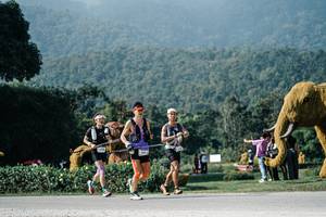 BIB: 
                            <button type="button" onclick="openModal(25882775)" class="btn btn-primary btn-sm float-right btn-popup" data-toggle="modal" data-target=".modal-high-quality">
                        <i class="fas fa-shopping-cart"></i> Add to Cart
                    </button>
                                            <button type="button" onclick="isThisMe(25882775, true)" class="btn btn-success btn-sm float-right btn-popup btn-isme hidden" data-toggle="tooltip" data-placement="bottom" title="นี่คือรูปของคุณใช่ไหม คลิกที่นี่เพื่อเอาเข้าอัลบั้ม">
                        <i class="fas fa-plus"></i> Add to album
                    </button>
                    <button type="button" onclick="isThisMe(25882775, false)" class="btn btn-warning btn-sm float-right btn-popup btn-isnotme hidden">
                        <i class="fas fa-ban"></i> Remove from album
                    </button>