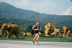 BIB: 
                            <button type="button" onclick="openModal(25870608)" class="btn btn-primary btn-sm float-right btn-popup" data-toggle="modal" data-target=".modal-high-quality">
                        <i class="fas fa-shopping-cart"></i> Add to Cart
                    </button>
                                            <button type="button" onclick="isThisMe(25870608, true)" class="btn btn-success btn-sm float-right btn-popup btn-isme hidden" data-toggle="tooltip" data-placement="bottom" title="นี่คือรูปของคุณใช่ไหม คลิกที่นี่เพื่อเอาเข้าอัลบั้ม">
                        <i class="fas fa-plus"></i> Add to album
                    </button>
                    <button type="button" onclick="isThisMe(25870608, false)" class="btn btn-warning btn-sm float-right btn-popup btn-isnotme hidden">
                        <i class="fas fa-ban"></i> Remove from album
                    </button>