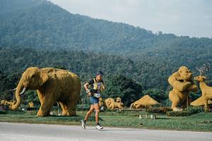 BIB: 
                            <button type="button" onclick="openModal(25870757)" class="btn btn-primary btn-sm float-right btn-popup" data-toggle="modal" data-target=".modal-high-quality">
                        <i class="fas fa-shopping-cart"></i> Add to Cart
                    </button>
                                            <button type="button" onclick="isThisMe(25870757, true)" class="btn btn-success btn-sm float-right btn-popup btn-isme hidden" data-toggle="tooltip" data-placement="bottom" title="นี่คือรูปของคุณใช่ไหม คลิกที่นี่เพื่อเอาเข้าอัลบั้ม">
                        <i class="fas fa-plus"></i> Add to album
                    </button>
                    <button type="button" onclick="isThisMe(25870757, false)" class="btn btn-warning btn-sm float-right btn-popup btn-isnotme hidden">
                        <i class="fas fa-ban"></i> Remove from album
                    </button>