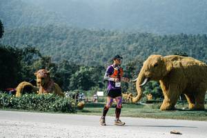 BIB: 
                            <button type="button" onclick="openModal(25901492)" class="btn btn-primary btn-sm float-right btn-popup" data-toggle="modal" data-target=".modal-high-quality">
                        <i class="fas fa-shopping-cart"></i> Add to Cart
                    </button>
                                            <button type="button" onclick="isThisMe(25901492, true)" class="btn btn-success btn-sm float-right btn-popup btn-isme hidden" data-toggle="tooltip" data-placement="bottom" title="นี่คือรูปของคุณใช่ไหม คลิกที่นี่เพื่อเอาเข้าอัลบั้ม">
                        <i class="fas fa-plus"></i> Add to album
                    </button>
                    <button type="button" onclick="isThisMe(25901492, false)" class="btn btn-warning btn-sm float-right btn-popup btn-isnotme hidden">
                        <i class="fas fa-ban"></i> Remove from album
                    </button>