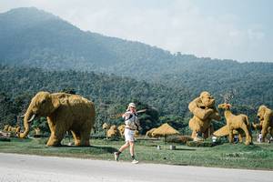 BIB: 
                            <button type="button" onclick="openModal(25885048)" class="btn btn-primary btn-sm float-right btn-popup" data-toggle="modal" data-target=".modal-high-quality">
                        <i class="fas fa-shopping-cart"></i> Add to Cart
                    </button>
                                            <button type="button" onclick="isThisMe(25885048, true)" class="btn btn-success btn-sm float-right btn-popup btn-isme hidden" data-toggle="tooltip" data-placement="bottom" title="นี่คือรูปของคุณใช่ไหม คลิกที่นี่เพื่อเอาเข้าอัลบั้ม">
                        <i class="fas fa-plus"></i> Add to album
                    </button>
                    <button type="button" onclick="isThisMe(25885048, false)" class="btn btn-warning btn-sm float-right btn-popup btn-isnotme hidden">
                        <i class="fas fa-ban"></i> Remove from album
                    </button>