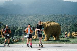 BIB: 
                            <button type="button" onclick="openModal(25927927)" class="btn btn-primary btn-sm float-right btn-popup" data-toggle="modal" data-target=".modal-high-quality">
                        <i class="fas fa-shopping-cart"></i> Add to Cart
                    </button>
                                            <button type="button" onclick="isThisMe(25927927, true)" class="btn btn-success btn-sm float-right btn-popup btn-isme hidden" data-toggle="tooltip" data-placement="bottom" title="นี่คือรูปของคุณใช่ไหม คลิกที่นี่เพื่อเอาเข้าอัลบั้ม">
                        <i class="fas fa-plus"></i> Add to album
                    </button>
                    <button type="button" onclick="isThisMe(25927927, false)" class="btn btn-warning btn-sm float-right btn-popup btn-isnotme hidden">
                        <i class="fas fa-ban"></i> Remove from album
                    </button>