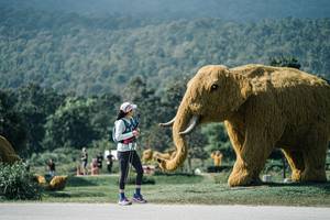 BIB: 
                            <button type="button" onclick="openModal(25928102)" class="btn btn-primary btn-sm float-right btn-popup" data-toggle="modal" data-target=".modal-high-quality">
                        <i class="fas fa-shopping-cart"></i> Add to Cart
                    </button>
                                            <button type="button" onclick="isThisMe(25928102, true)" class="btn btn-success btn-sm float-right btn-popup btn-isme hidden" data-toggle="tooltip" data-placement="bottom" title="นี่คือรูปของคุณใช่ไหม คลิกที่นี่เพื่อเอาเข้าอัลบั้ม">
                        <i class="fas fa-plus"></i> Add to album
                    </button>
                    <button type="button" onclick="isThisMe(25928102, false)" class="btn btn-warning btn-sm float-right btn-popup btn-isnotme hidden">
                        <i class="fas fa-ban"></i> Remove from album
                    </button>