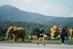 BIB: 
                            <button type="button" onclick="openModal(25871428)" class="btn btn-primary btn-sm float-right btn-popup" data-toggle="modal" data-target=".modal-high-quality">
                        <i class="fas fa-shopping-cart"></i> Add to Cart
                    </button>
                                            <button type="button" onclick="isThisMe(25871428, true)" class="btn btn-success btn-sm float-right btn-popup btn-isme hidden" data-toggle="tooltip" data-placement="bottom" title="นี่คือรูปของคุณใช่ไหม คลิกที่นี่เพื่อเอาเข้าอัลบั้ม">
                        <i class="fas fa-plus"></i> Add to album
                    </button>
                    <button type="button" onclick="isThisMe(25871428, false)" class="btn btn-warning btn-sm float-right btn-popup btn-isnotme hidden">
                        <i class="fas fa-ban"></i> Remove from album
                    </button>