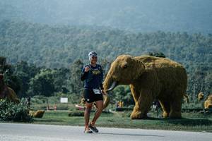 BIB: 
                            <button type="button" onclick="openModal(25967763)" class="btn btn-primary btn-sm float-right btn-popup" data-toggle="modal" data-target=".modal-high-quality">
                        <i class="fas fa-shopping-cart"></i> Add to Cart
                    </button>
                                            <button type="button" onclick="isThisMe(25967763, true)" class="btn btn-success btn-sm float-right btn-popup btn-isme hidden" data-toggle="tooltip" data-placement="bottom" title="นี่คือรูปของคุณใช่ไหม คลิกที่นี่เพื่อเอาเข้าอัลบั้ม">
                        <i class="fas fa-plus"></i> Add to album
                    </button>
                    <button type="button" onclick="isThisMe(25967763, false)" class="btn btn-warning btn-sm float-right btn-popup btn-isnotme hidden">
                        <i class="fas fa-ban"></i> Remove from album
                    </button>