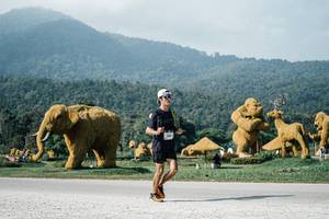 BIB: 
                            <button type="button" onclick="openModal(25876942)" class="btn btn-primary btn-sm float-right btn-popup" data-toggle="modal" data-target=".modal-high-quality">
                        <i class="fas fa-shopping-cart"></i> Add to Cart
                    </button>
                                            <button type="button" onclick="isThisMe(25876942, true)" class="btn btn-success btn-sm float-right btn-popup btn-isme hidden" data-toggle="tooltip" data-placement="bottom" title="นี่คือรูปของคุณใช่ไหม คลิกที่นี่เพื่อเอาเข้าอัลบั้ม">
                        <i class="fas fa-plus"></i> Add to album
                    </button>
                    <button type="button" onclick="isThisMe(25876942, false)" class="btn btn-warning btn-sm float-right btn-popup btn-isnotme hidden">
                        <i class="fas fa-ban"></i> Remove from album
                    </button>