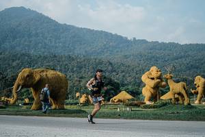 BIB: 
                            <button type="button" onclick="openModal(25870544)" class="btn btn-primary btn-sm float-right btn-popup" data-toggle="modal" data-target=".modal-high-quality">
                        <i class="fas fa-shopping-cart"></i> Add to Cart
                    </button>
                                            <button type="button" onclick="isThisMe(25870544, true)" class="btn btn-success btn-sm float-right btn-popup btn-isme hidden" data-toggle="tooltip" data-placement="bottom" title="นี่คือรูปของคุณใช่ไหม คลิกที่นี่เพื่อเอาเข้าอัลบั้ม">
                        <i class="fas fa-plus"></i> Add to album
                    </button>
                    <button type="button" onclick="isThisMe(25870544, false)" class="btn btn-warning btn-sm float-right btn-popup btn-isnotme hidden">
                        <i class="fas fa-ban"></i> Remove from album
                    </button>