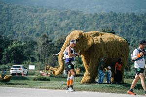 BIB: 
                            <button type="button" onclick="openModal(25917932)" class="btn btn-primary btn-sm float-right btn-popup" data-toggle="modal" data-target=".modal-high-quality">
                        <i class="fas fa-shopping-cart"></i> Add to Cart
                    </button>
                                            <button type="button" onclick="isThisMe(25917932, true)" class="btn btn-success btn-sm float-right btn-popup btn-isme hidden" data-toggle="tooltip" data-placement="bottom" title="นี่คือรูปของคุณใช่ไหม คลิกที่นี่เพื่อเอาเข้าอัลบั้ม">
                        <i class="fas fa-plus"></i> Add to album
                    </button>
                    <button type="button" onclick="isThisMe(25917932, false)" class="btn btn-warning btn-sm float-right btn-popup btn-isnotme hidden">
                        <i class="fas fa-ban"></i> Remove from album
                    </button>