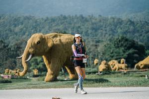 BIB: 
                            <button type="button" onclick="openModal(25900640)" class="btn btn-primary btn-sm float-right btn-popup" data-toggle="modal" data-target=".modal-high-quality">
                        <i class="fas fa-shopping-cart"></i> Add to Cart
                    </button>
                                            <button type="button" onclick="isThisMe(25900640, true)" class="btn btn-success btn-sm float-right btn-popup btn-isme hidden" data-toggle="tooltip" data-placement="bottom" title="นี่คือรูปของคุณใช่ไหม คลิกที่นี่เพื่อเอาเข้าอัลบั้ม">
                        <i class="fas fa-plus"></i> Add to album
                    </button>
                    <button type="button" onclick="isThisMe(25900640, false)" class="btn btn-warning btn-sm float-right btn-popup btn-isnotme hidden">
                        <i class="fas fa-ban"></i> Remove from album
                    </button>