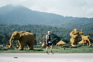 BIB: 
                            <button type="button" onclick="openModal(25903672)" class="btn btn-primary btn-sm float-right btn-popup" data-toggle="modal" data-target=".modal-high-quality">
                        <i class="fas fa-shopping-cart"></i> Add to Cart
                    </button>
                                            <button type="button" onclick="isThisMe(25903672, true)" class="btn btn-success btn-sm float-right btn-popup btn-isme hidden" data-toggle="tooltip" data-placement="bottom" title="นี่คือรูปของคุณใช่ไหม คลิกที่นี่เพื่อเอาเข้าอัลบั้ม">
                        <i class="fas fa-plus"></i> Add to album
                    </button>
                    <button type="button" onclick="isThisMe(25903672, false)" class="btn btn-warning btn-sm float-right btn-popup btn-isnotme hidden">
                        <i class="fas fa-ban"></i> Remove from album
                    </button>