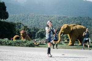 BIB: 
                            <button type="button" onclick="openModal(25921653)" class="btn btn-primary btn-sm float-right btn-popup" data-toggle="modal" data-target=".modal-high-quality">
                        <i class="fas fa-shopping-cart"></i> Add to Cart
                    </button>
                                            <button type="button" onclick="isThisMe(25921653, true)" class="btn btn-success btn-sm float-right btn-popup btn-isme hidden" data-toggle="tooltip" data-placement="bottom" title="นี่คือรูปของคุณใช่ไหม คลิกที่นี่เพื่อเอาเข้าอัลบั้ม">
                        <i class="fas fa-plus"></i> Add to album
                    </button>
                    <button type="button" onclick="isThisMe(25921653, false)" class="btn btn-warning btn-sm float-right btn-popup btn-isnotme hidden">
                        <i class="fas fa-ban"></i> Remove from album
                    </button>