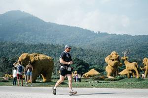 BIB: 
                            <button type="button" onclick="openModal(25884056)" class="btn btn-primary btn-sm float-right btn-popup" data-toggle="modal" data-target=".modal-high-quality">
                        <i class="fas fa-shopping-cart"></i> Add to Cart
                    </button>
                                            <button type="button" onclick="isThisMe(25884056, true)" class="btn btn-success btn-sm float-right btn-popup btn-isme hidden" data-toggle="tooltip" data-placement="bottom" title="นี่คือรูปของคุณใช่ไหม คลิกที่นี่เพื่อเอาเข้าอัลบั้ม">
                        <i class="fas fa-plus"></i> Add to album
                    </button>
                    <button type="button" onclick="isThisMe(25884056, false)" class="btn btn-warning btn-sm float-right btn-popup btn-isnotme hidden">
                        <i class="fas fa-ban"></i> Remove from album
                    </button>