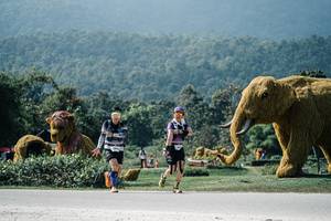 BIB: 
                            <button type="button" onclick="openModal(25965254)" class="btn btn-primary btn-sm float-right btn-popup" data-toggle="modal" data-target=".modal-high-quality">
                        <i class="fas fa-shopping-cart"></i> Add to Cart
                    </button>
                                            <button type="button" onclick="isThisMe(25965254, true)" class="btn btn-success btn-sm float-right btn-popup btn-isme hidden" data-toggle="tooltip" data-placement="bottom" title="นี่คือรูปของคุณใช่ไหม คลิกที่นี่เพื่อเอาเข้าอัลบั้ม">
                        <i class="fas fa-plus"></i> Add to album
                    </button>
                    <button type="button" onclick="isThisMe(25965254, false)" class="btn btn-warning btn-sm float-right btn-popup btn-isnotme hidden">
                        <i class="fas fa-ban"></i> Remove from album
                    </button>