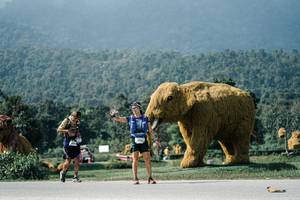 BIB: 
                            <button type="button" onclick="openModal(25909614)" class="btn btn-primary btn-sm float-right btn-popup" data-toggle="modal" data-target=".modal-high-quality">
                        <i class="fas fa-shopping-cart"></i> Add to Cart
                    </button>
                                            <button type="button" onclick="isThisMe(25909614, true)" class="btn btn-success btn-sm float-right btn-popup btn-isme hidden" data-toggle="tooltip" data-placement="bottom" title="นี่คือรูปของคุณใช่ไหม คลิกที่นี่เพื่อเอาเข้าอัลบั้ม">
                        <i class="fas fa-plus"></i> Add to album
                    </button>
                    <button type="button" onclick="isThisMe(25909614, false)" class="btn btn-warning btn-sm float-right btn-popup btn-isnotme hidden">
                        <i class="fas fa-ban"></i> Remove from album
                    </button>