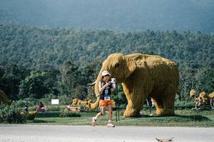 BIB: 
                            <button type="button" onclick="openModal(25889002)" class="btn btn-primary btn-sm float-right btn-popup" data-toggle="modal" data-target=".modal-high-quality">
                        <i class="fas fa-shopping-cart"></i> Add to Cart
                    </button>
                                            <button type="button" onclick="isThisMe(25889002, true)" class="btn btn-success btn-sm float-right btn-popup btn-isme hidden" data-toggle="tooltip" data-placement="bottom" title="นี่คือรูปของคุณใช่ไหม คลิกที่นี่เพื่อเอาเข้าอัลบั้ม">
                        <i class="fas fa-plus"></i> Add to album
                    </button>
                    <button type="button" onclick="isThisMe(25889002, false)" class="btn btn-warning btn-sm float-right btn-popup btn-isnotme hidden">
                        <i class="fas fa-ban"></i> Remove from album
                    </button>