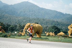 BIB: 
                            <button type="button" onclick="openModal(25870338)" class="btn btn-primary btn-sm float-right btn-popup" data-toggle="modal" data-target=".modal-high-quality">
                        <i class="fas fa-shopping-cart"></i> Add to Cart
                    </button>
                                            <button type="button" onclick="isThisMe(25870338, true)" class="btn btn-success btn-sm float-right btn-popup btn-isme hidden" data-toggle="tooltip" data-placement="bottom" title="นี่คือรูปของคุณใช่ไหม คลิกที่นี่เพื่อเอาเข้าอัลบั้ม">
                        <i class="fas fa-plus"></i> Add to album
                    </button>
                    <button type="button" onclick="isThisMe(25870338, false)" class="btn btn-warning btn-sm float-right btn-popup btn-isnotme hidden">
                        <i class="fas fa-ban"></i> Remove from album
                    </button>