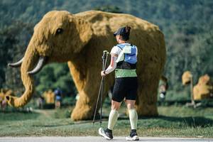 BIB: 
                            <button type="button" onclick="openModal(25894063)" class="btn btn-primary btn-sm float-right btn-popup" data-toggle="modal" data-target=".modal-high-quality">
                        <i class="fas fa-shopping-cart"></i> Add to Cart
                    </button>
                                            <button type="button" onclick="isThisMe(25894063, true)" class="btn btn-success btn-sm float-right btn-popup btn-isme hidden" data-toggle="tooltip" data-placement="bottom" title="นี่คือรูปของคุณใช่ไหม คลิกที่นี่เพื่อเอาเข้าอัลบั้ม">
                        <i class="fas fa-plus"></i> Add to album
                    </button>
                    <button type="button" onclick="isThisMe(25894063, false)" class="btn btn-warning btn-sm float-right btn-popup btn-isnotme hidden">
                        <i class="fas fa-ban"></i> Remove from album
                    </button>