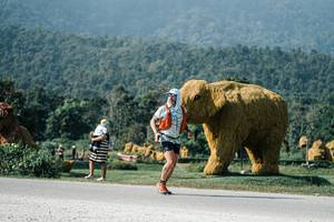 BIB: 
                            <button type="button" onclick="openModal(25884687)" class="btn btn-primary btn-sm float-right btn-popup" data-toggle="modal" data-target=".modal-high-quality">
                        <i class="fas fa-shopping-cart"></i> Add to Cart
                    </button>
                                            <button type="button" onclick="isThisMe(25884687, true)" class="btn btn-success btn-sm float-right btn-popup btn-isme hidden" data-toggle="tooltip" data-placement="bottom" title="นี่คือรูปของคุณใช่ไหม คลิกที่นี่เพื่อเอาเข้าอัลบั้ม">
                        <i class="fas fa-plus"></i> Add to album
                    </button>
                    <button type="button" onclick="isThisMe(25884687, false)" class="btn btn-warning btn-sm float-right btn-popup btn-isnotme hidden">
                        <i class="fas fa-ban"></i> Remove from album
                    </button>