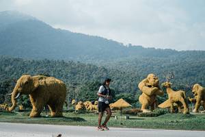 BIB: 
                            <button type="button" onclick="openModal(25898910)" class="btn btn-primary btn-sm float-right btn-popup" data-toggle="modal" data-target=".modal-high-quality">
                        <i class="fas fa-shopping-cart"></i> Add to Cart
                    </button>
                                            <button type="button" onclick="isThisMe(25898910, true)" class="btn btn-success btn-sm float-right btn-popup btn-isme hidden" data-toggle="tooltip" data-placement="bottom" title="นี่คือรูปของคุณใช่ไหม คลิกที่นี่เพื่อเอาเข้าอัลบั้ม">
                        <i class="fas fa-plus"></i> Add to album
                    </button>
                    <button type="button" onclick="isThisMe(25898910, false)" class="btn btn-warning btn-sm float-right btn-popup btn-isnotme hidden">
                        <i class="fas fa-ban"></i> Remove from album
                    </button>