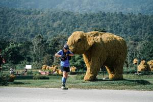 BIB: 
                            <button type="button" onclick="openModal(25885743)" class="btn btn-primary btn-sm float-right btn-popup" data-toggle="modal" data-target=".modal-high-quality">
                        <i class="fas fa-shopping-cart"></i> Add to Cart
                    </button>
                                            <button type="button" onclick="isThisMe(25885743, true)" class="btn btn-success btn-sm float-right btn-popup btn-isme hidden" data-toggle="tooltip" data-placement="bottom" title="นี่คือรูปของคุณใช่ไหม คลิกที่นี่เพื่อเอาเข้าอัลบั้ม">
                        <i class="fas fa-plus"></i> Add to album
                    </button>
                    <button type="button" onclick="isThisMe(25885743, false)" class="btn btn-warning btn-sm float-right btn-popup btn-isnotme hidden">
                        <i class="fas fa-ban"></i> Remove from album
                    </button>