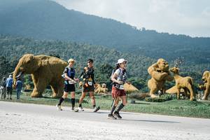 BIB: 
                            <button type="button" onclick="openModal(25936188)" class="btn btn-primary btn-sm float-right btn-popup" data-toggle="modal" data-target=".modal-high-quality">
                        <i class="fas fa-shopping-cart"></i> Add to Cart
                    </button>
                                            <button type="button" onclick="isThisMe(25936188, true)" class="btn btn-success btn-sm float-right btn-popup btn-isme hidden" data-toggle="tooltip" data-placement="bottom" title="นี่คือรูปของคุณใช่ไหม คลิกที่นี่เพื่อเอาเข้าอัลบั้ม">
                        <i class="fas fa-plus"></i> Add to album
                    </button>
                    <button type="button" onclick="isThisMe(25936188, false)" class="btn btn-warning btn-sm float-right btn-popup btn-isnotme hidden">
                        <i class="fas fa-ban"></i> Remove from album
                    </button>