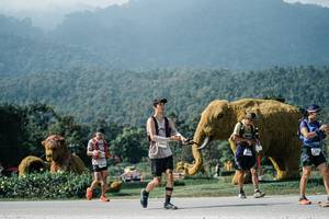 BIB: 
                            <button type="button" onclick="openModal(25909656)" class="btn btn-primary btn-sm float-right btn-popup" data-toggle="modal" data-target=".modal-high-quality">
                        <i class="fas fa-shopping-cart"></i> Add to Cart
                    </button>
                                            <button type="button" onclick="isThisMe(25909656, true)" class="btn btn-success btn-sm float-right btn-popup btn-isme hidden" data-toggle="tooltip" data-placement="bottom" title="นี่คือรูปของคุณใช่ไหม คลิกที่นี่เพื่อเอาเข้าอัลบั้ม">
                        <i class="fas fa-plus"></i> Add to album
                    </button>
                    <button type="button" onclick="isThisMe(25909656, false)" class="btn btn-warning btn-sm float-right btn-popup btn-isnotme hidden">
                        <i class="fas fa-ban"></i> Remove from album
                    </button>