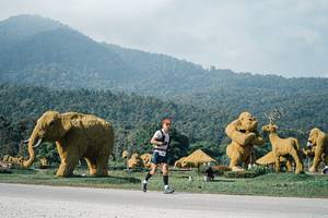 BIB: 
                            <button type="button" onclick="openModal(25877988)" class="btn btn-primary btn-sm float-right btn-popup" data-toggle="modal" data-target=".modal-high-quality">
                        <i class="fas fa-shopping-cart"></i> Add to Cart
                    </button>
                                            <button type="button" onclick="isThisMe(25877988, true)" class="btn btn-success btn-sm float-right btn-popup btn-isme hidden" data-toggle="tooltip" data-placement="bottom" title="นี่คือรูปของคุณใช่ไหม คลิกที่นี่เพื่อเอาเข้าอัลบั้ม">
                        <i class="fas fa-plus"></i> Add to album
                    </button>
                    <button type="button" onclick="isThisMe(25877988, false)" class="btn btn-warning btn-sm float-right btn-popup btn-isnotme hidden">
                        <i class="fas fa-ban"></i> Remove from album
                    </button>