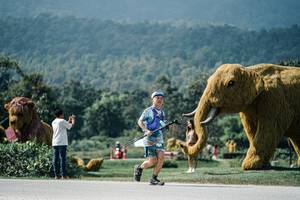 BIB: 
                            <button type="button" onclick="openModal(25946512)" class="btn btn-primary btn-sm float-right btn-popup" data-toggle="modal" data-target=".modal-high-quality">
                        <i class="fas fa-shopping-cart"></i> Add to Cart
                    </button>
                                            <button type="button" onclick="isThisMe(25946512, true)" class="btn btn-success btn-sm float-right btn-popup btn-isme hidden" data-toggle="tooltip" data-placement="bottom" title="นี่คือรูปของคุณใช่ไหม คลิกที่นี่เพื่อเอาเข้าอัลบั้ม">
                        <i class="fas fa-plus"></i> Add to album
                    </button>
                    <button type="button" onclick="isThisMe(25946512, false)" class="btn btn-warning btn-sm float-right btn-popup btn-isnotme hidden">
                        <i class="fas fa-ban"></i> Remove from album
                    </button>