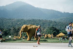 BIB: 
                            <button type="button" onclick="openModal(25893954)" class="btn btn-primary btn-sm float-right btn-popup" data-toggle="modal" data-target=".modal-high-quality">
                        <i class="fas fa-shopping-cart"></i> Add to Cart
                    </button>
                                            <button type="button" onclick="isThisMe(25893954, true)" class="btn btn-success btn-sm float-right btn-popup btn-isme hidden" data-toggle="tooltip" data-placement="bottom" title="นี่คือรูปของคุณใช่ไหม คลิกที่นี่เพื่อเอาเข้าอัลบั้ม">
                        <i class="fas fa-plus"></i> Add to album
                    </button>
                    <button type="button" onclick="isThisMe(25893954, false)" class="btn btn-warning btn-sm float-right btn-popup btn-isnotme hidden">
                        <i class="fas fa-ban"></i> Remove from album
                    </button>