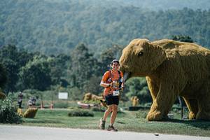 BIB: 
                            <button type="button" onclick="openModal(25973276)" class="btn btn-primary btn-sm float-right btn-popup" data-toggle="modal" data-target=".modal-high-quality">
                        <i class="fas fa-shopping-cart"></i> Add to Cart
                    </button>
                                            <button type="button" onclick="isThisMe(25973276, true)" class="btn btn-success btn-sm float-right btn-popup btn-isme hidden" data-toggle="tooltip" data-placement="bottom" title="นี่คือรูปของคุณใช่ไหม คลิกที่นี่เพื่อเอาเข้าอัลบั้ม">
                        <i class="fas fa-plus"></i> Add to album
                    </button>
                    <button type="button" onclick="isThisMe(25973276, false)" class="btn btn-warning btn-sm float-right btn-popup btn-isnotme hidden">
                        <i class="fas fa-ban"></i> Remove from album
                    </button>