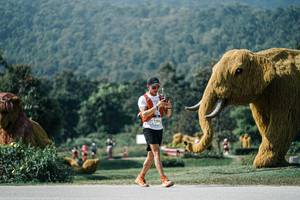 BIB: 
                            <button type="button" onclick="openModal(25914640)" class="btn btn-primary btn-sm float-right btn-popup" data-toggle="modal" data-target=".modal-high-quality">
                        <i class="fas fa-shopping-cart"></i> Add to Cart
                    </button>
                                            <button type="button" onclick="isThisMe(25914640, true)" class="btn btn-success btn-sm float-right btn-popup btn-isme hidden" data-toggle="tooltip" data-placement="bottom" title="นี่คือรูปของคุณใช่ไหม คลิกที่นี่เพื่อเอาเข้าอัลบั้ม">
                        <i class="fas fa-plus"></i> Add to album
                    </button>
                    <button type="button" onclick="isThisMe(25914640, false)" class="btn btn-warning btn-sm float-right btn-popup btn-isnotme hidden">
                        <i class="fas fa-ban"></i> Remove from album
                    </button>