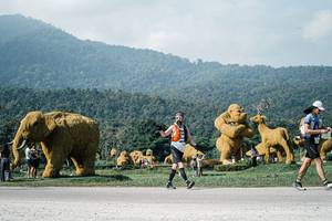 BIB: 
                            <button type="button" onclick="openModal(25882169)" class="btn btn-primary btn-sm float-right btn-popup" data-toggle="modal" data-target=".modal-high-quality">
                        <i class="fas fa-shopping-cart"></i> Add to Cart
                    </button>
                                            <button type="button" onclick="isThisMe(25882169, true)" class="btn btn-success btn-sm float-right btn-popup btn-isme hidden" data-toggle="tooltip" data-placement="bottom" title="นี่คือรูปของคุณใช่ไหม คลิกที่นี่เพื่อเอาเข้าอัลบั้ม">
                        <i class="fas fa-plus"></i> Add to album
                    </button>
                    <button type="button" onclick="isThisMe(25882169, false)" class="btn btn-warning btn-sm float-right btn-popup btn-isnotme hidden">
                        <i class="fas fa-ban"></i> Remove from album
                    </button>