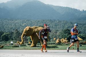 BIB: 
                            <button type="button" onclick="openModal(25951249)" class="btn btn-primary btn-sm float-right btn-popup" data-toggle="modal" data-target=".modal-high-quality">
                        <i class="fas fa-shopping-cart"></i> Add to Cart
                    </button>
                                            <button type="button" onclick="isThisMe(25951249, true)" class="btn btn-success btn-sm float-right btn-popup btn-isme hidden" data-toggle="tooltip" data-placement="bottom" title="นี่คือรูปของคุณใช่ไหม คลิกที่นี่เพื่อเอาเข้าอัลบั้ม">
                        <i class="fas fa-plus"></i> Add to album
                    </button>
                    <button type="button" onclick="isThisMe(25951249, false)" class="btn btn-warning btn-sm float-right btn-popup btn-isnotme hidden">
                        <i class="fas fa-ban"></i> Remove from album
                    </button>