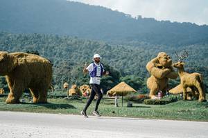 BIB: 
                            <button type="button" onclick="openModal(25948195)" class="btn btn-primary btn-sm float-right btn-popup" data-toggle="modal" data-target=".modal-high-quality">
                        <i class="fas fa-shopping-cart"></i> Add to Cart
                    </button>
                                            <button type="button" onclick="isThisMe(25948195, true)" class="btn btn-success btn-sm float-right btn-popup btn-isme hidden" data-toggle="tooltip" data-placement="bottom" title="นี่คือรูปของคุณใช่ไหม คลิกที่นี่เพื่อเอาเข้าอัลบั้ม">
                        <i class="fas fa-plus"></i> Add to album
                    </button>
                    <button type="button" onclick="isThisMe(25948195, false)" class="btn btn-warning btn-sm float-right btn-popup btn-isnotme hidden">
                        <i class="fas fa-ban"></i> Remove from album
                    </button>