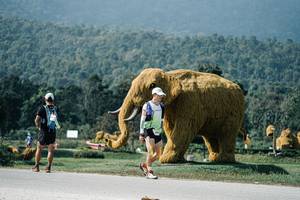 BIB: 
                            <button type="button" onclick="openModal(25907817)" class="btn btn-primary btn-sm float-right btn-popup" data-toggle="modal" data-target=".modal-high-quality">
                        <i class="fas fa-shopping-cart"></i> Add to Cart
                    </button>
                                            <button type="button" onclick="isThisMe(25907817, true)" class="btn btn-success btn-sm float-right btn-popup btn-isme hidden" data-toggle="tooltip" data-placement="bottom" title="นี่คือรูปของคุณใช่ไหม คลิกที่นี่เพื่อเอาเข้าอัลบั้ม">
                        <i class="fas fa-plus"></i> Add to album
                    </button>
                    <button type="button" onclick="isThisMe(25907817, false)" class="btn btn-warning btn-sm float-right btn-popup btn-isnotme hidden">
                        <i class="fas fa-ban"></i> Remove from album
                    </button>