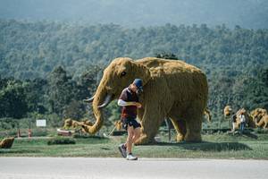 BIB: 
                            <button type="button" onclick="openModal(25969246)" class="btn btn-primary btn-sm float-right btn-popup" data-toggle="modal" data-target=".modal-high-quality">
                        <i class="fas fa-shopping-cart"></i> Add to Cart
                    </button>
                                            <button type="button" onclick="isThisMe(25969246, true)" class="btn btn-success btn-sm float-right btn-popup btn-isme hidden" data-toggle="tooltip" data-placement="bottom" title="นี่คือรูปของคุณใช่ไหม คลิกที่นี่เพื่อเอาเข้าอัลบั้ม">
                        <i class="fas fa-plus"></i> Add to album
                    </button>
                    <button type="button" onclick="isThisMe(25969246, false)" class="btn btn-warning btn-sm float-right btn-popup btn-isnotme hidden">
                        <i class="fas fa-ban"></i> Remove from album
                    </button>