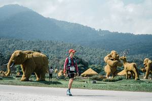 BIB: 
                            <button type="button" onclick="openModal(25953225)" class="btn btn-primary btn-sm float-right btn-popup" data-toggle="modal" data-target=".modal-high-quality">
                        <i class="fas fa-shopping-cart"></i> Add to Cart
                    </button>
                                            <button type="button" onclick="isThisMe(25953225, true)" class="btn btn-success btn-sm float-right btn-popup btn-isme hidden" data-toggle="tooltip" data-placement="bottom" title="นี่คือรูปของคุณใช่ไหม คลิกที่นี่เพื่อเอาเข้าอัลบั้ม">
                        <i class="fas fa-plus"></i> Add to album
                    </button>
                    <button type="button" onclick="isThisMe(25953225, false)" class="btn btn-warning btn-sm float-right btn-popup btn-isnotme hidden">
                        <i class="fas fa-ban"></i> Remove from album
                    </button>