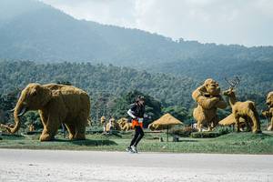 BIB: 
                            <button type="button" onclick="openModal(25969226)" class="btn btn-primary btn-sm float-right btn-popup" data-toggle="modal" data-target=".modal-high-quality">
                        <i class="fas fa-shopping-cart"></i> Add to Cart
                    </button>
                                            <button type="button" onclick="isThisMe(25969226, true)" class="btn btn-success btn-sm float-right btn-popup btn-isme hidden" data-toggle="tooltip" data-placement="bottom" title="นี่คือรูปของคุณใช่ไหม คลิกที่นี่เพื่อเอาเข้าอัลบั้ม">
                        <i class="fas fa-plus"></i> Add to album
                    </button>
                    <button type="button" onclick="isThisMe(25969226, false)" class="btn btn-warning btn-sm float-right btn-popup btn-isnotme hidden">
                        <i class="fas fa-ban"></i> Remove from album
                    </button>