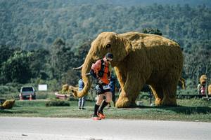 BIB: 
                            <button type="button" onclick="openModal(25943491)" class="btn btn-primary btn-sm float-right btn-popup" data-toggle="modal" data-target=".modal-high-quality">
                        <i class="fas fa-shopping-cart"></i> Add to Cart
                    </button>
                                            <button type="button" onclick="isThisMe(25943491, true)" class="btn btn-success btn-sm float-right btn-popup btn-isme hidden" data-toggle="tooltip" data-placement="bottom" title="นี่คือรูปของคุณใช่ไหม คลิกที่นี่เพื่อเอาเข้าอัลบั้ม">
                        <i class="fas fa-plus"></i> Add to album
                    </button>
                    <button type="button" onclick="isThisMe(25943491, false)" class="btn btn-warning btn-sm float-right btn-popup btn-isnotme hidden">
                        <i class="fas fa-ban"></i> Remove from album
                    </button>