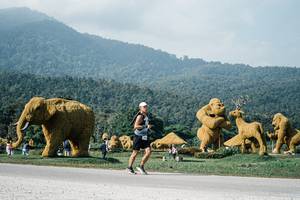 BIB: 
                            <button type="button" onclick="openModal(25875162)" class="btn btn-primary btn-sm float-right btn-popup" data-toggle="modal" data-target=".modal-high-quality">
                        <i class="fas fa-shopping-cart"></i> Add to Cart
                    </button>
                                            <button type="button" onclick="isThisMe(25875162, true)" class="btn btn-success btn-sm float-right btn-popup btn-isme hidden" data-toggle="tooltip" data-placement="bottom" title="นี่คือรูปของคุณใช่ไหม คลิกที่นี่เพื่อเอาเข้าอัลบั้ม">
                        <i class="fas fa-plus"></i> Add to album
                    </button>
                    <button type="button" onclick="isThisMe(25875162, false)" class="btn btn-warning btn-sm float-right btn-popup btn-isnotme hidden">
                        <i class="fas fa-ban"></i> Remove from album
                    </button>