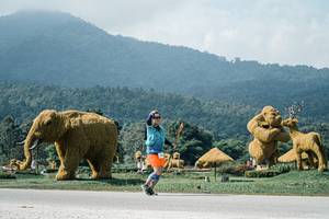 BIB: 
                            <button type="button" onclick="openModal(25941898)" class="btn btn-primary btn-sm float-right btn-popup" data-toggle="modal" data-target=".modal-high-quality">
                        <i class="fas fa-shopping-cart"></i> Add to Cart
                    </button>
                                            <button type="button" onclick="isThisMe(25941898, true)" class="btn btn-success btn-sm float-right btn-popup btn-isme hidden" data-toggle="tooltip" data-placement="bottom" title="นี่คือรูปของคุณใช่ไหม คลิกที่นี่เพื่อเอาเข้าอัลบั้ม">
                        <i class="fas fa-plus"></i> Add to album
                    </button>
                    <button type="button" onclick="isThisMe(25941898, false)" class="btn btn-warning btn-sm float-right btn-popup btn-isnotme hidden">
                        <i class="fas fa-ban"></i> Remove from album
                    </button>