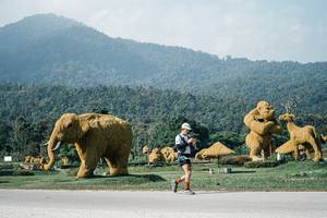 BIB: 
                            <button type="button" onclick="openModal(25885175)" class="btn btn-primary btn-sm float-right btn-popup" data-toggle="modal" data-target=".modal-high-quality">
                        <i class="fas fa-shopping-cart"></i> Add to Cart
                    </button>
                                            <button type="button" onclick="isThisMe(25885175, true)" class="btn btn-success btn-sm float-right btn-popup btn-isme hidden" data-toggle="tooltip" data-placement="bottom" title="นี่คือรูปของคุณใช่ไหม คลิกที่นี่เพื่อเอาเข้าอัลบั้ม">
                        <i class="fas fa-plus"></i> Add to album
                    </button>
                    <button type="button" onclick="isThisMe(25885175, false)" class="btn btn-warning btn-sm float-right btn-popup btn-isnotme hidden">
                        <i class="fas fa-ban"></i> Remove from album
                    </button>