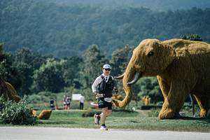 BIB: 
                            <button type="button" onclick="openModal(25963930)" class="btn btn-primary btn-sm float-right btn-popup" data-toggle="modal" data-target=".modal-high-quality">
                        <i class="fas fa-shopping-cart"></i> Add to Cart
                    </button>
                                            <button type="button" onclick="isThisMe(25963930, true)" class="btn btn-success btn-sm float-right btn-popup btn-isme hidden" data-toggle="tooltip" data-placement="bottom" title="นี่คือรูปของคุณใช่ไหม คลิกที่นี่เพื่อเอาเข้าอัลบั้ม">
                        <i class="fas fa-plus"></i> Add to album
                    </button>
                    <button type="button" onclick="isThisMe(25963930, false)" class="btn btn-warning btn-sm float-right btn-popup btn-isnotme hidden">
                        <i class="fas fa-ban"></i> Remove from album
                    </button>