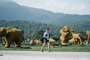 BIB: 
                            <button type="button" onclick="openModal(25906763)" class="btn btn-primary btn-sm float-right btn-popup" data-toggle="modal" data-target=".modal-high-quality">
                        <i class="fas fa-shopping-cart"></i> Add to Cart
                    </button>
                                            <button type="button" onclick="isThisMe(25906763, true)" class="btn btn-success btn-sm float-right btn-popup btn-isme hidden" data-toggle="tooltip" data-placement="bottom" title="นี่คือรูปของคุณใช่ไหม คลิกที่นี่เพื่อเอาเข้าอัลบั้ม">
                        <i class="fas fa-plus"></i> Add to album
                    </button>
                    <button type="button" onclick="isThisMe(25906763, false)" class="btn btn-warning btn-sm float-right btn-popup btn-isnotme hidden">
                        <i class="fas fa-ban"></i> Remove from album
                    </button>